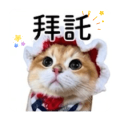 小虎05