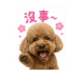 天使Mocha