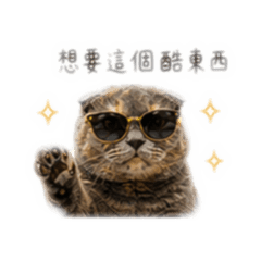 自己的罐罐自己賺賺