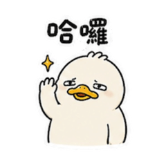 阿肥鴨-日常用語