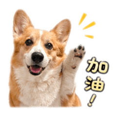 熊寶の生活用語貼圖