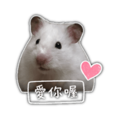 咘哩鼠！