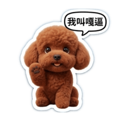 貴賓小狗狗_嘎逼