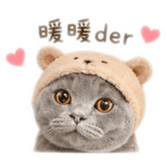 我是一隻跩跩貓
