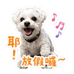 馬爾濟斯碎碎念