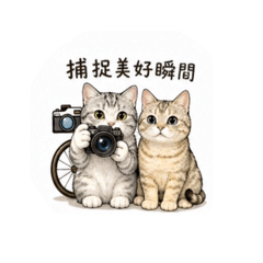 毛孩攝影日記