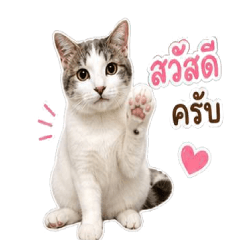 Tung Ngoen Tung Thong