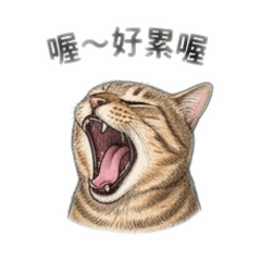 好朋友6767