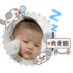 Mibaobao Daily