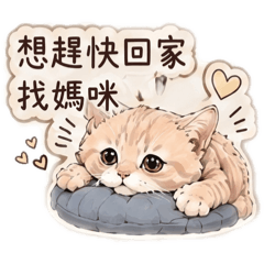 摳摳不想去上班
