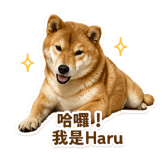HARU小小世界