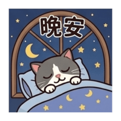 肥豬圓圓