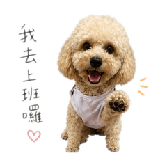 KIKI小寶貝❤️
