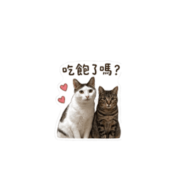 錢錢與斑斑