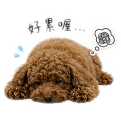 是有錢