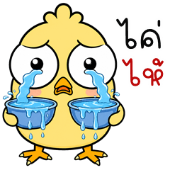 Wide-Eyed Chick (Kum-muang)