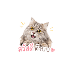 Moooilnongnoon_20260428132912
