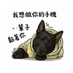 190貼圖