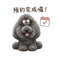 小尾巴寵物美容