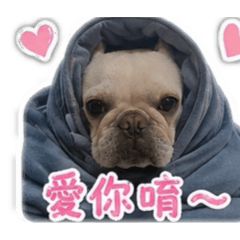 可愛ㄉ小妞