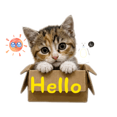 Nanthaporn_20260501175554