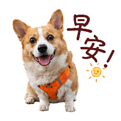 Lucky一條柯日常貼圖