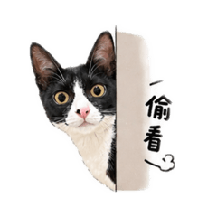 妹妹ㄉ可愛日常
