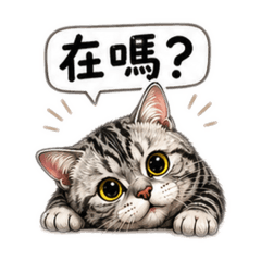 皮蛋Q比