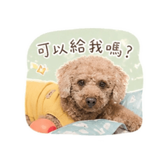 Nike自創貼圖
