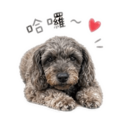 我是GiGi呦