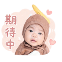 阿毛阿毛毛毛