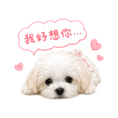 奶糖語錄二