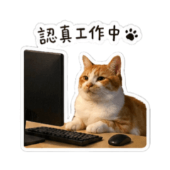 二吉喵