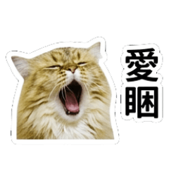 咚葳