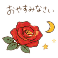 Maimai_20260504041448