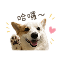 阿皮皮的表情包