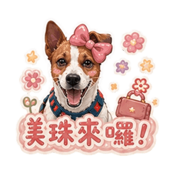 美珠來囉！