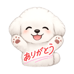 ayacham_20260504154047