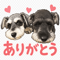 Schnauzer Twins Daily Stamps