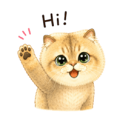 Fluffy Lion-Cut Cat Stickers