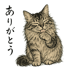 Fluffy Tabby Cat: Daily Expressions