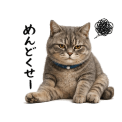 Grey Grey Grey Cat