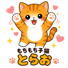 Mochi-mochi Kitten "Torao"