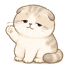 Laid-back Scottish Fold