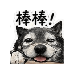 阿熊的日常用