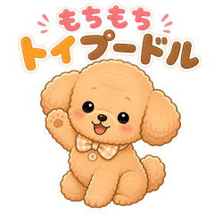Mochi-mochi Toy Poodle "Kurun"