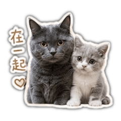 念&想的可愛日常（奶茶色）