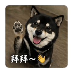 柴 一會兒
