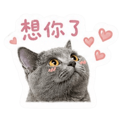 許哆錢小舖