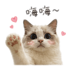 Miupig
